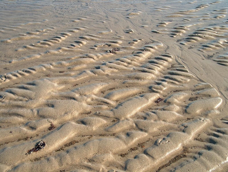 Secure Garden Location